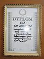 dyplom_1993